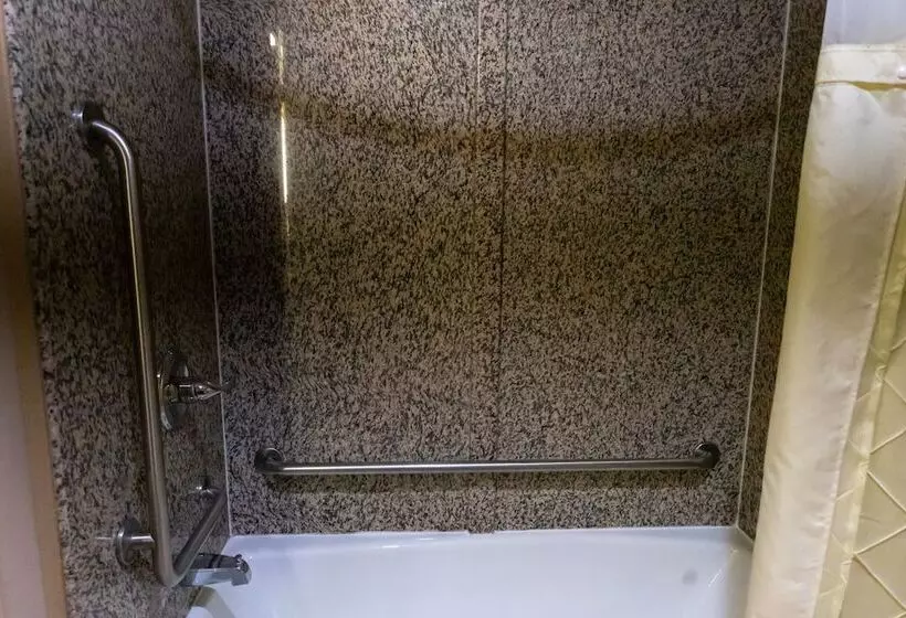 ホテル Days Inn By Wyndham College Park Atlanta Airport South