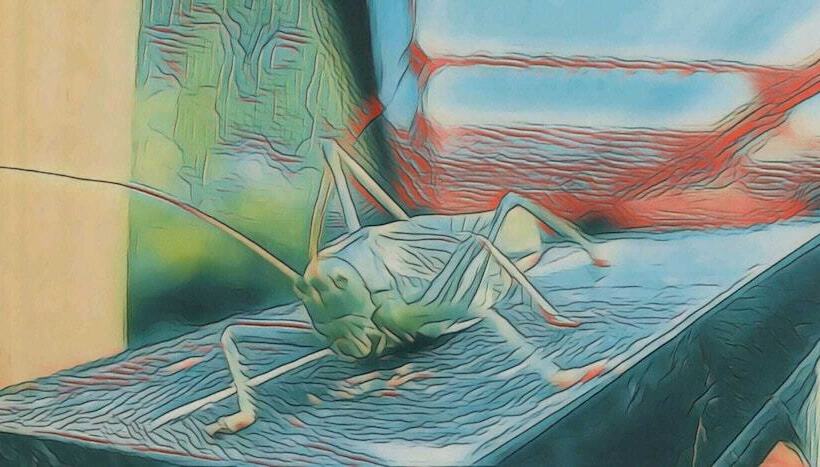 إقامة Stokkegaarden S Bnb & Apartments