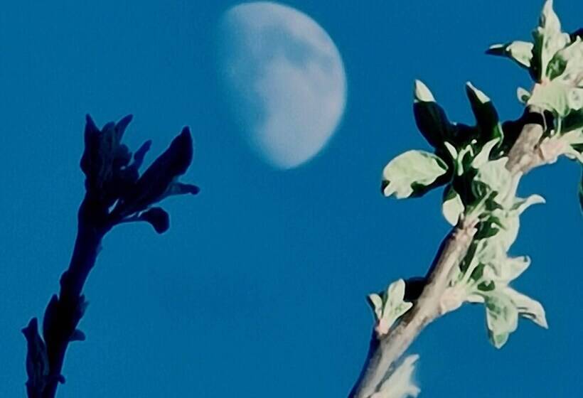 إقامة Stokkegaarden S Bnb & Apartments