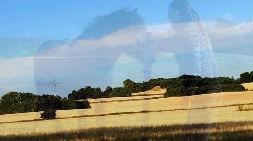 إقامة Stokkegaarden S Bnb & Apartments