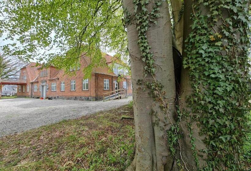 إقامة Stokkegaarden S Bnb & Apartments