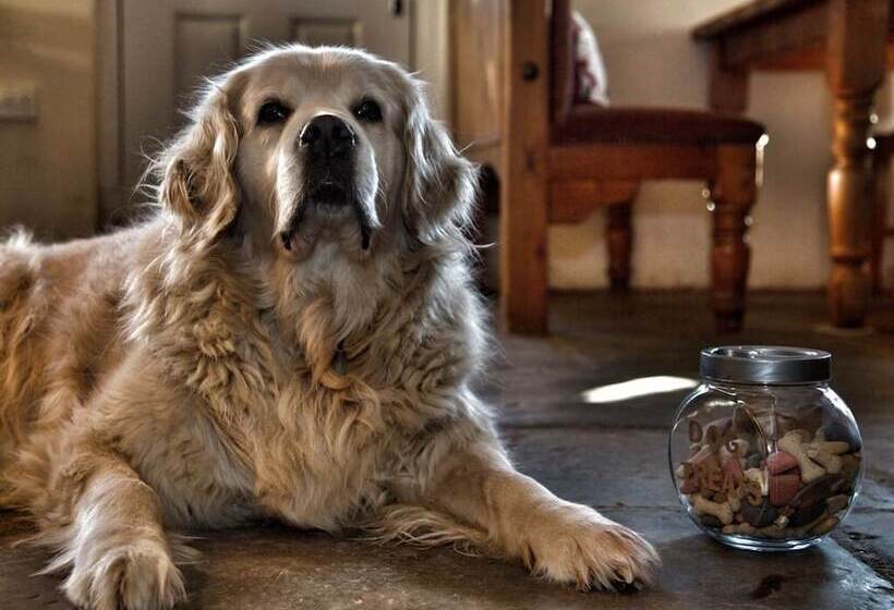 פונדק The Norman Knight Whichford