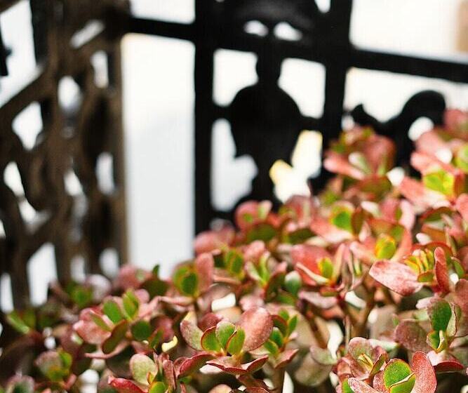 هتل Okako San Sebastian