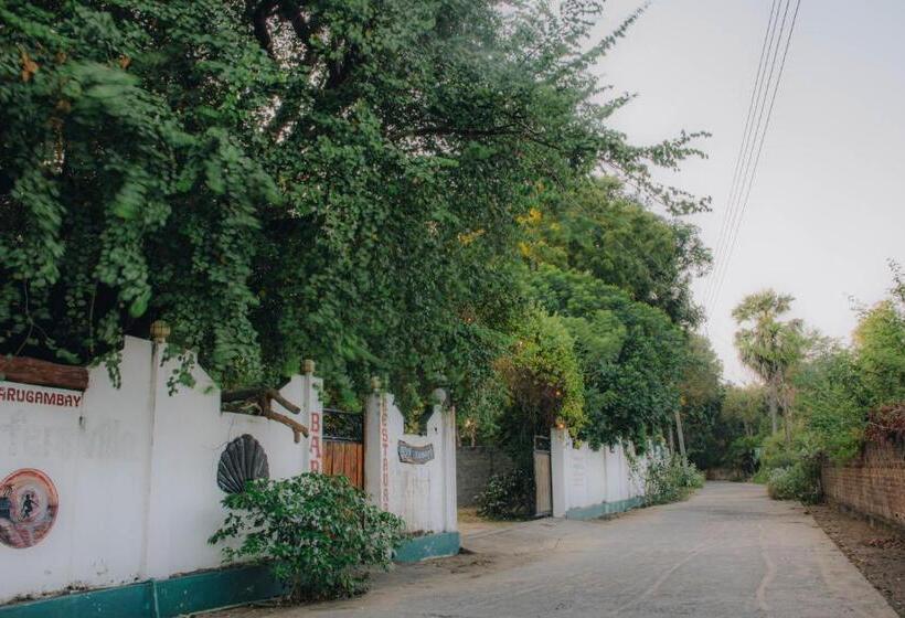 فندق Shell Resort