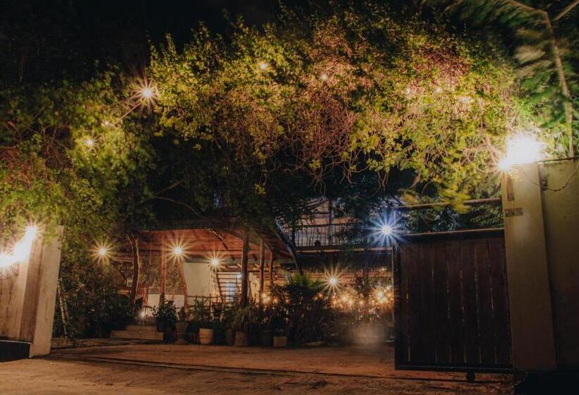 فندق Shell Resort