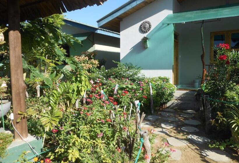 فندق Shell Resort