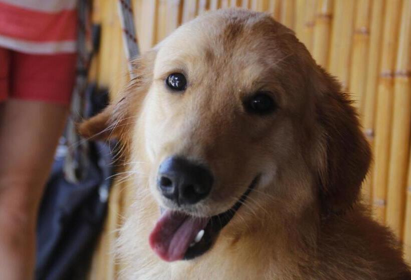 پانسیون Pousada Pura Vida Maresias