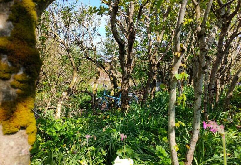 Stromness Apartments