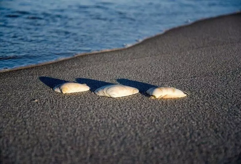 Beachy Lavallette Cottage W/ Outdoor Shower, Patio