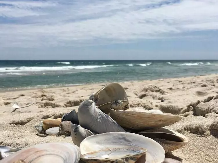 Beachy Lavallette Cottage W/ Outdoor Shower, Patio