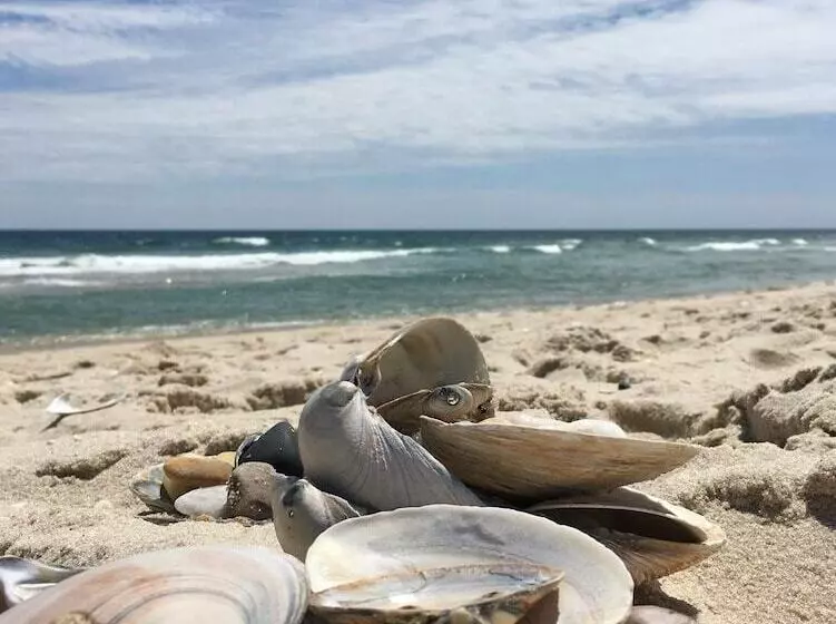 Beachy Lavallette Cottage W/ Outdoor Shower, Patio