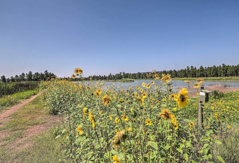 Bright & Modern Flagstaff Cottage Escape!