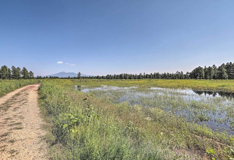 Bright & Modern Flagstaff Cottage Escape!