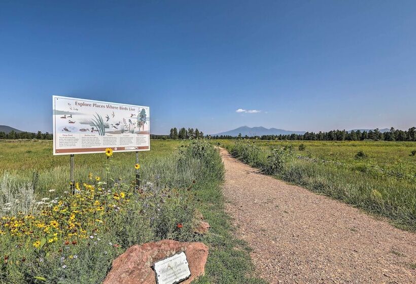 Bright & Modern Flagstaff Cottage Escape!