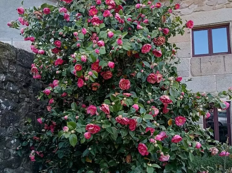 Hotelli Casa Das Capelas