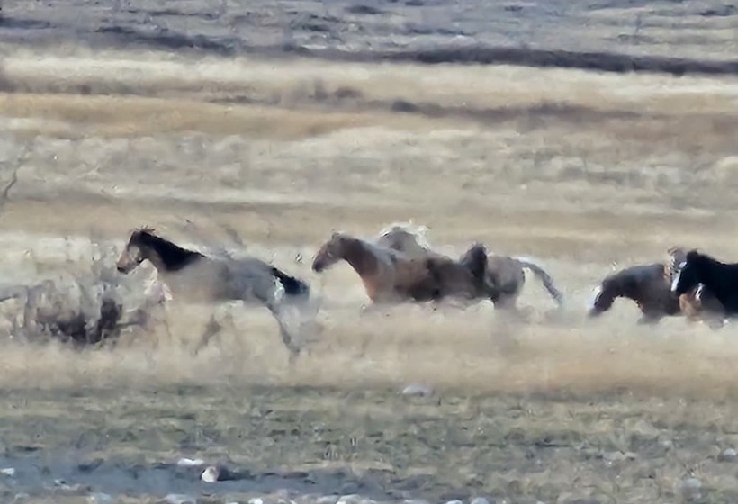 בית מלון כפרי Db Botique And Cabins