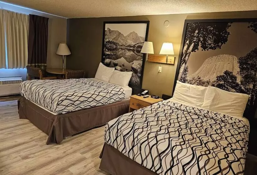 モーテル Wyo Inn