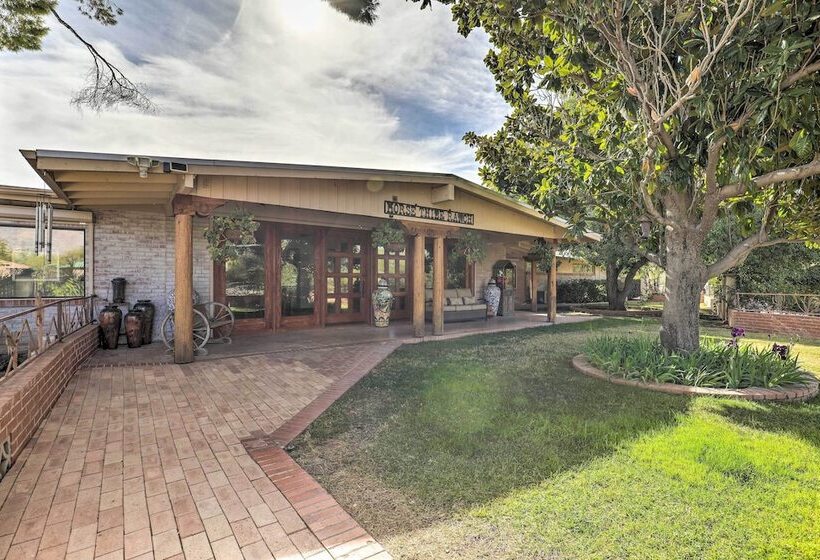 Tucson Home By Nature Preserve; Perfect For Hiking