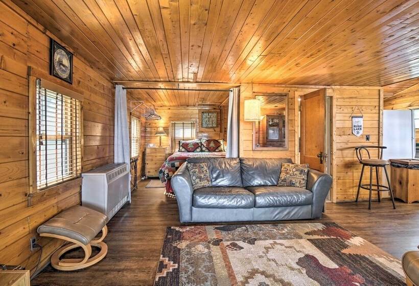 Lake Livin Cozy Cabin W/ Dock, Tiki Bar, 2 Kayaks