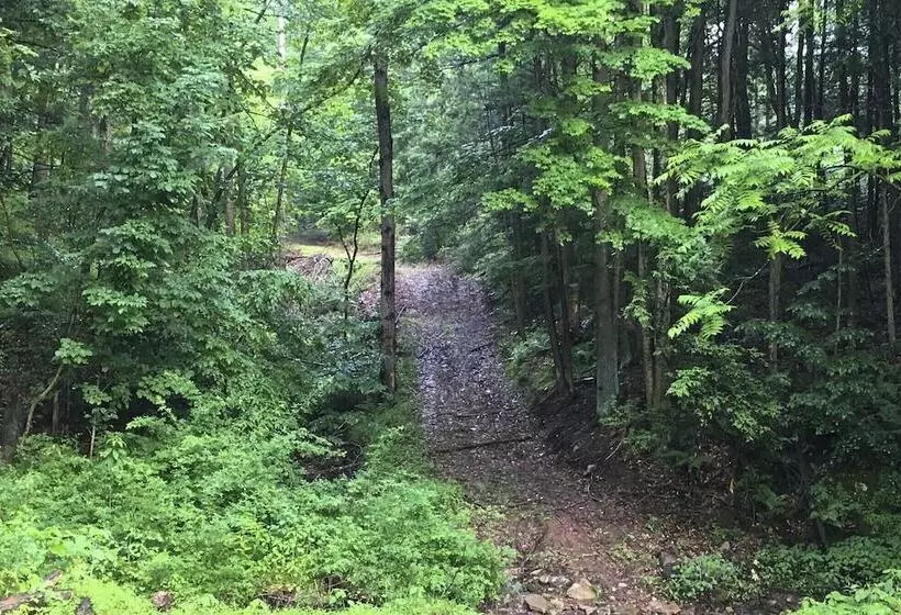 Serene Saxton Lodge: 7 Mi To Lake Raystown!