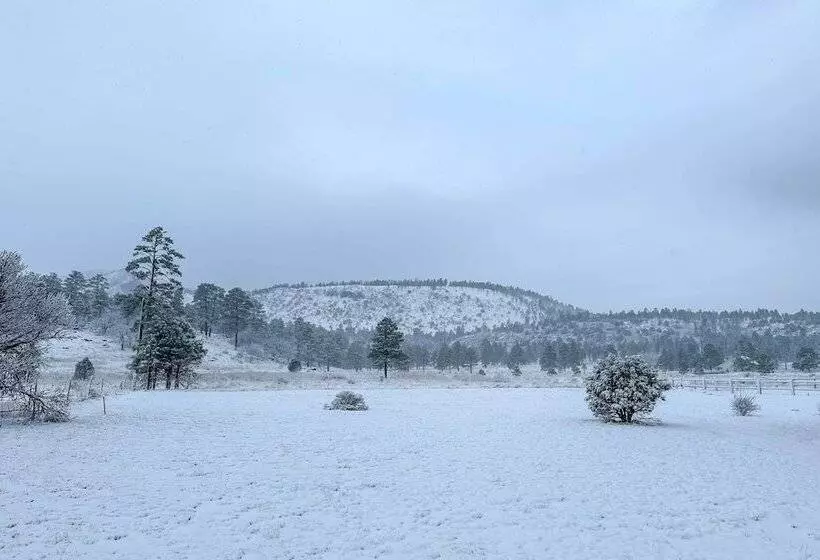Family Home In Flagstaff W/ Surrounding Mtn Views!