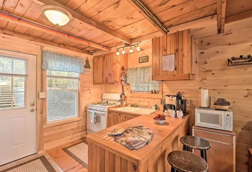 Pet Friendly Ellsworth Cottage On Branch Lake