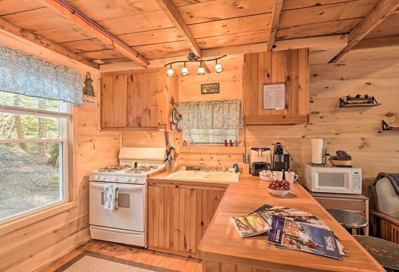 Pet Friendly Ellsworth Cottage On Branch Lake