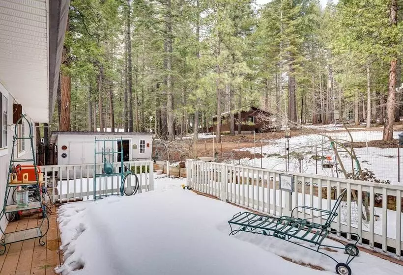 Renovated Pioneer Home In Serene Wooded Setting!