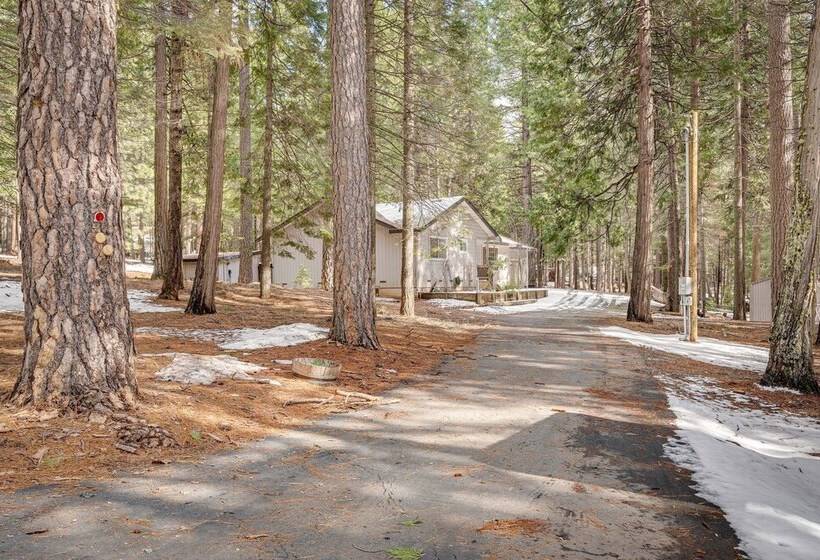 Renovated Pioneer Home In Serene Wooded Setting!