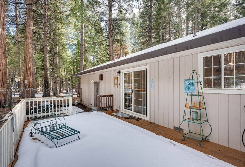 Renovated Pioneer Home In Serene Wooded Setting!