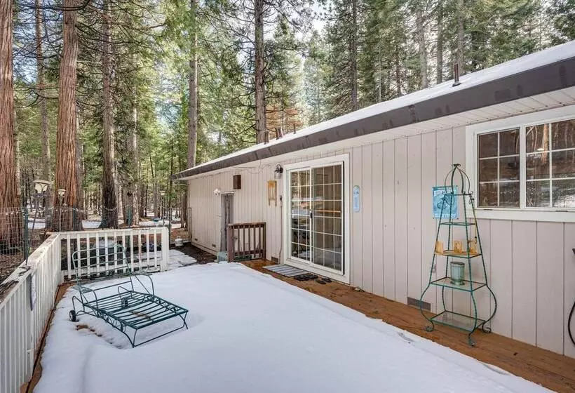 Renovated Pioneer Home In Serene Wooded Setting!
