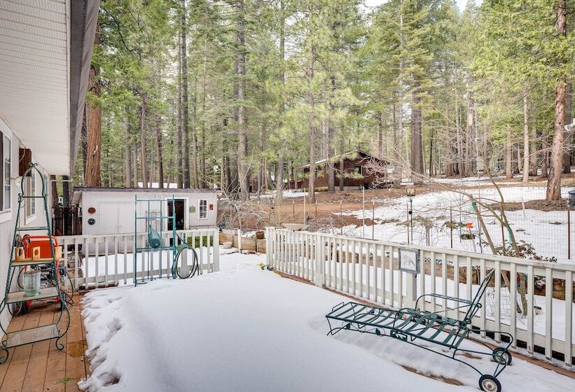 Renovated Pioneer Home In Serene Wooded Setting!