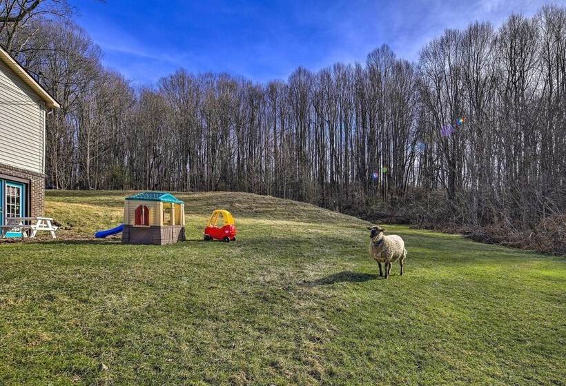 Pet Friendly Home W/ Grill & Farm In Meadowview!