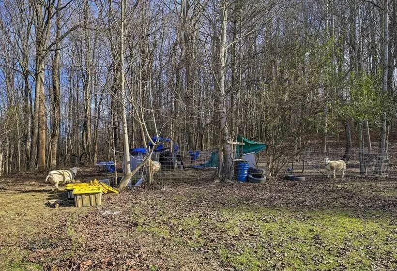 Pet Friendly Home W/ Grill & Farm In Meadowview!