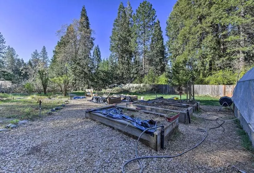 Peaceful Cottage W/ Grill & Yard In Grass Valley!