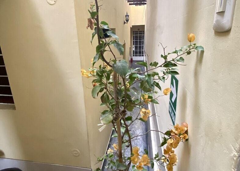 فندق صغير Don Alberto