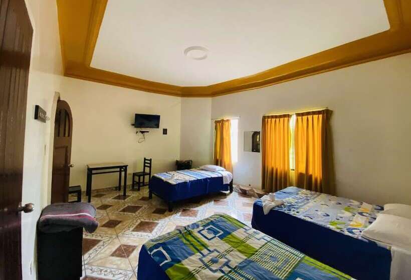 فندق صغير Don Alberto