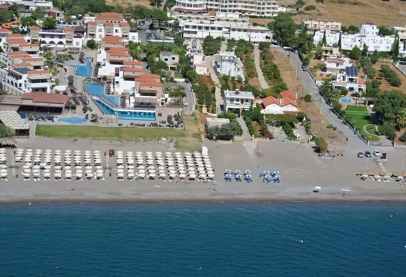 Amaryllis Front Beach