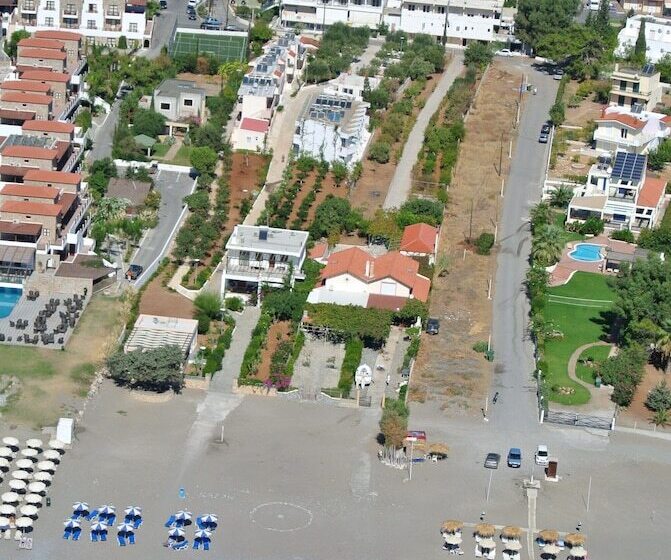 Amaryllis Front Beach