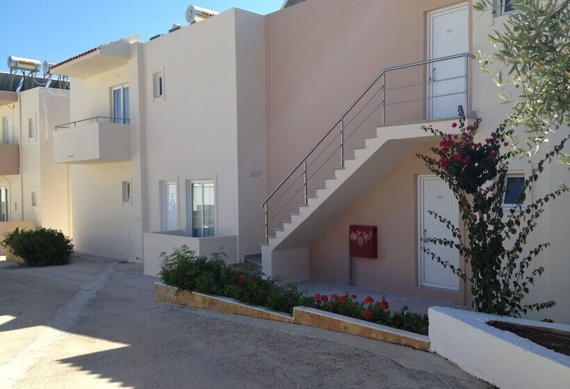 Amaryllis Front Beach