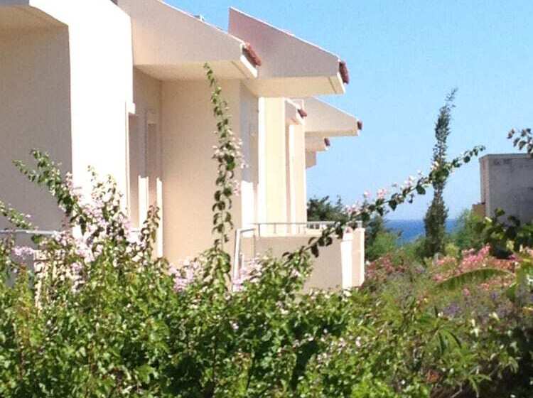 Amaryllis Front Beach