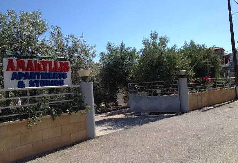 Amaryllis Front Beach