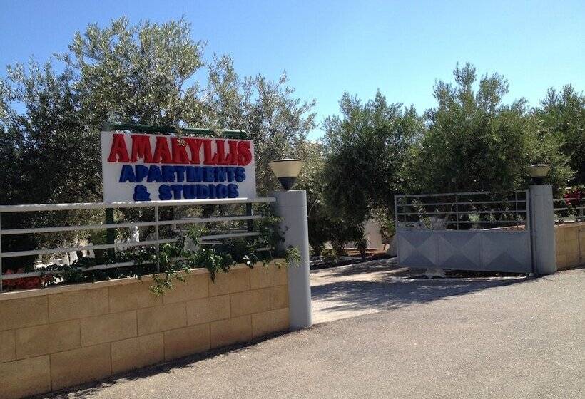 Amaryllis Front Beach