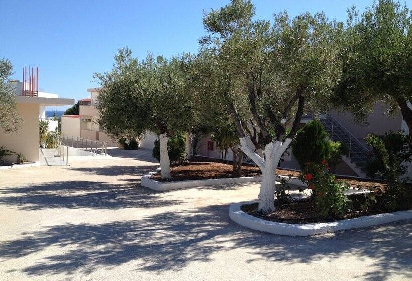 Amaryllis Front Beach