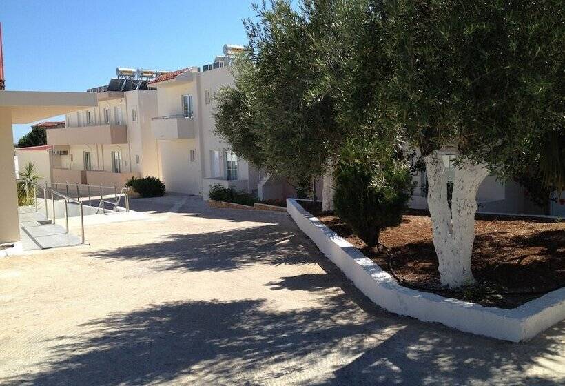 Amaryllis Front Beach