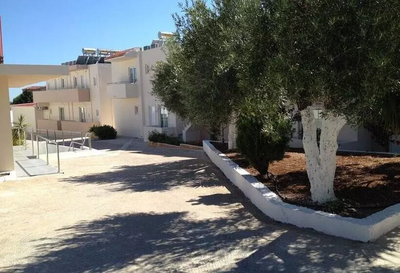 Amaryllis Front Beach