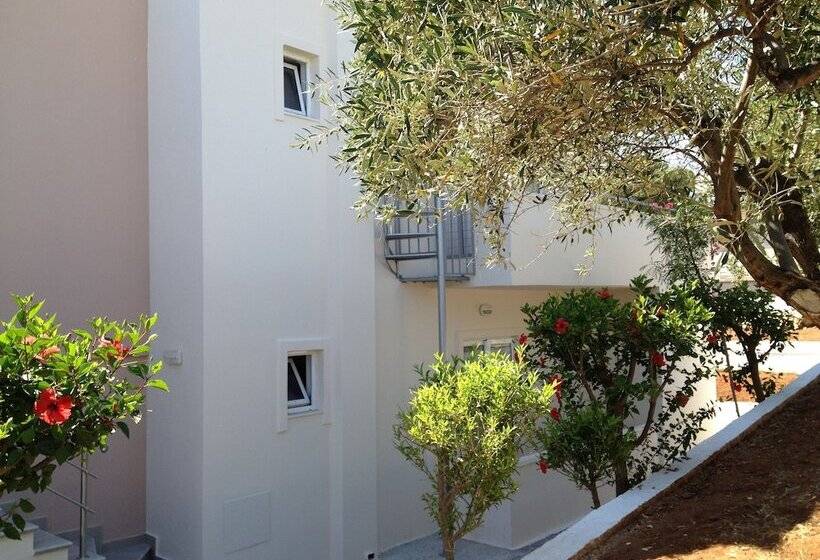 Amaryllis Front Beach