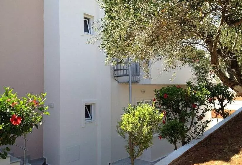 Amaryllis Front Beach