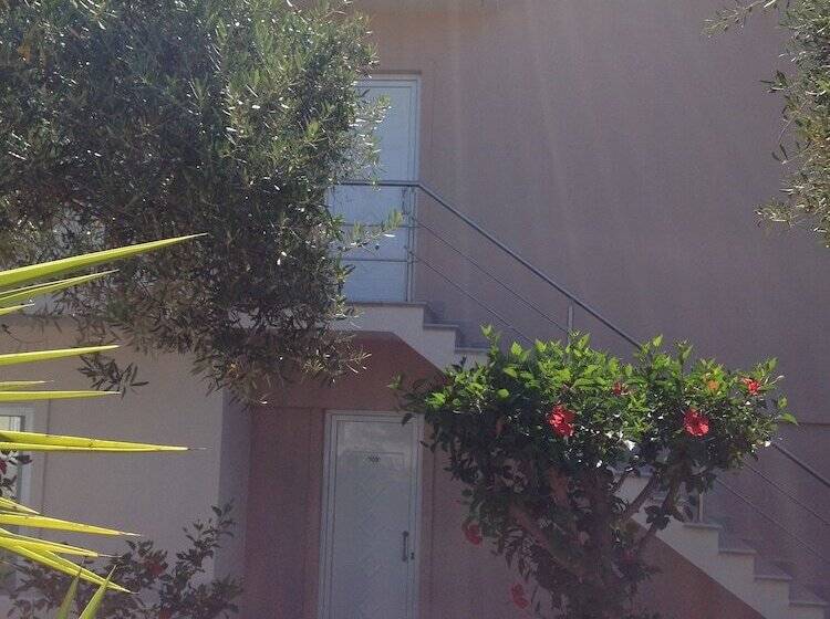 Amaryllis Front Beach