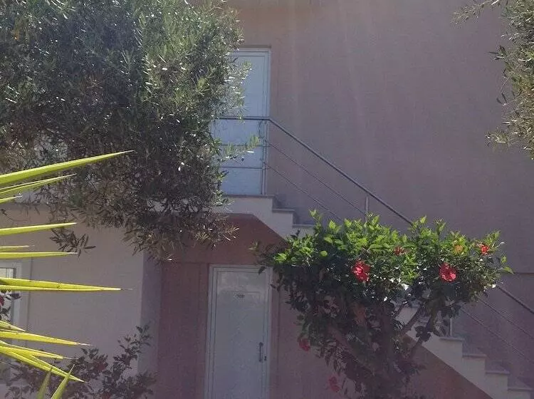 Amaryllis Front Beach